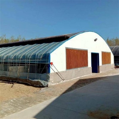 Greenhouse For Cattle