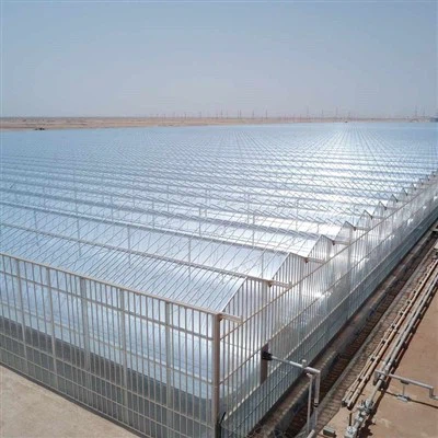 Didelis stiklinis šiltnamis