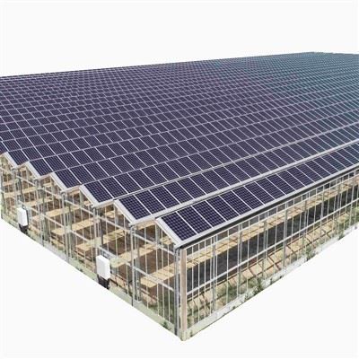Solar Panel Greenhouse