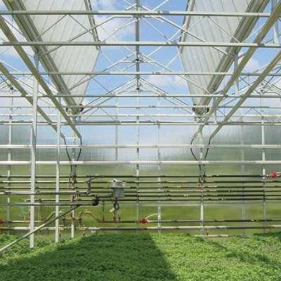 China Venlo Glass Greenhouse
